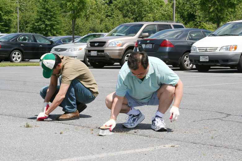 053109-parking (5).jpg